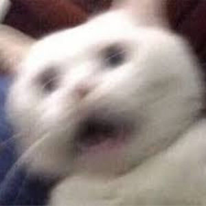 Meet your Posher, Synth.mp3